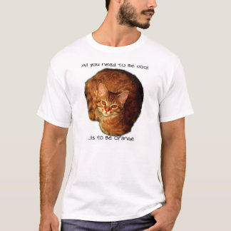 Camiseta seja alaranjado