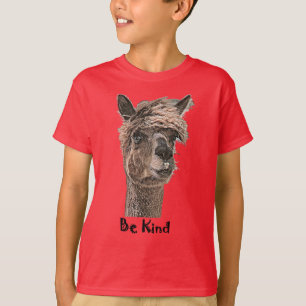 Camiseta Seja gentil