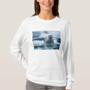Camiseta selo do porto pacífico, Phoca vitulina richardsi