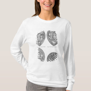 Camiseta Selos das universidades