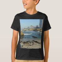 Selos na areia na angra de La Jolla