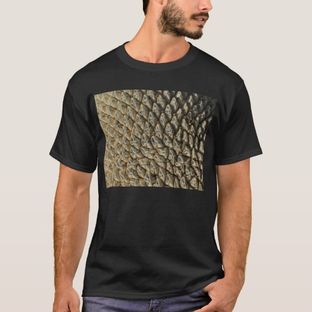 Camiseta - Sementes de girassol (Frente)