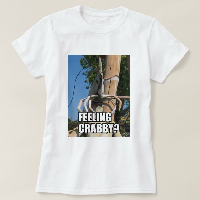 CAMISETA SENDO CRABBY? MEME (Frente do Design)