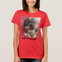 Senhor? É mim outra vez Shih Tzu Meme