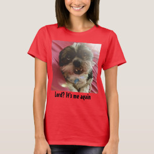 Camiseta Senhor? É mim outra vez Shih Tzu Meme