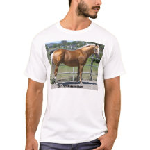 Senhor RH Maximilian