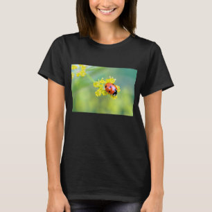 Camiseta senhora no topo