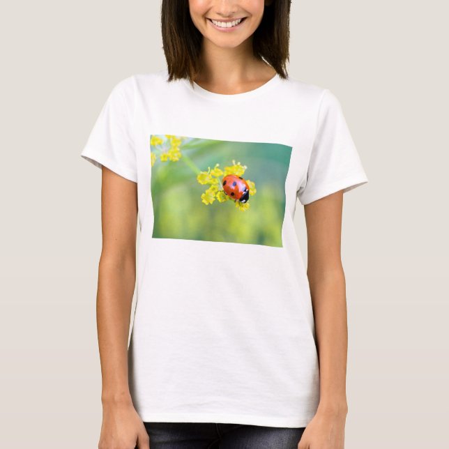 Camiseta senhora por cima (Frente)