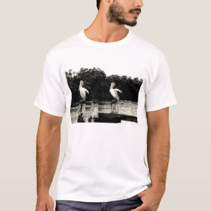 Camiseta sente-se