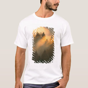 Camiseta Sequoias vermelhas no nevoeiro costeiro, Condado d