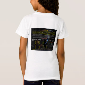 Camiseta Série OVNI: Almôndegas, Orbs e Esferas