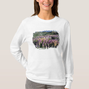 Camiseta SERRA DE JARBIDGE, NEVADA. EUA. Lupino-espigão