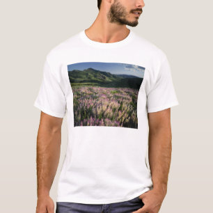 Camiseta Serra e Jarbridge Wilderness, Nevada, Esporão