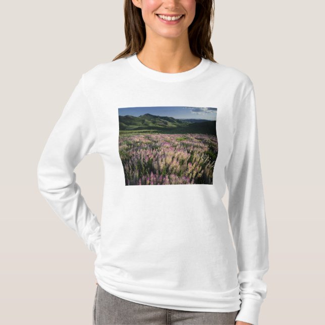 Camiseta Serra e Jarbridge Wilderness, Nevada, Esporão (Frente)