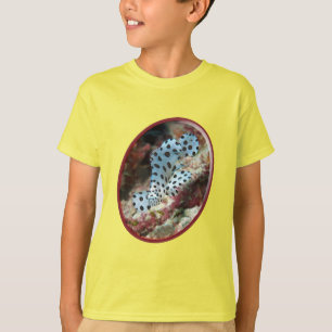 Camiseta Serrano Jovem - Design Fotográfico Oval de Peixe  