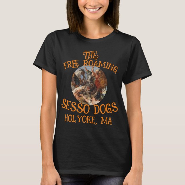 CAMISETA SESSÕES DE ROAMING GRATUITAS CÃES HOLYOKE MÃE MASS (Frente)