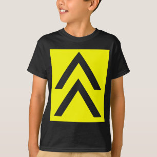 Camiseta Seta dobro