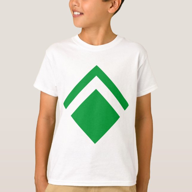 Camiseta Seta Geométrica 01 (Frente)