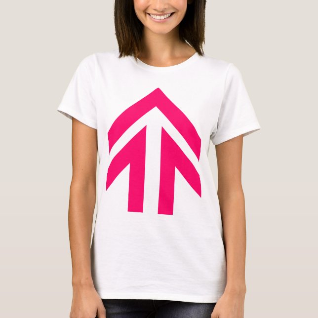 Camiseta Seta oca (Frente)