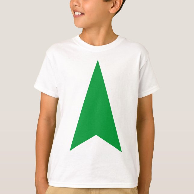 Camiseta Seta para Direção (Frente)