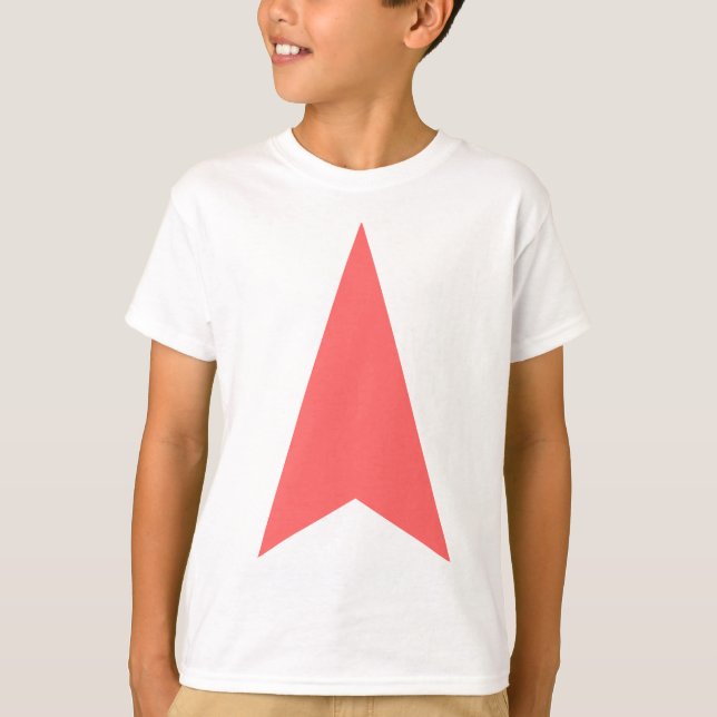 Camiseta Seta para Direção (Frente)