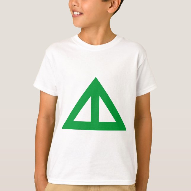 Camiseta Seta Triangular Dividida (Frente)
