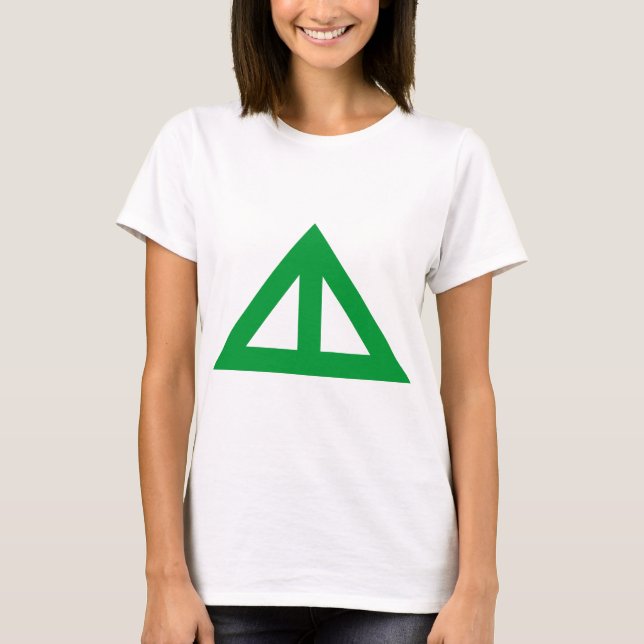 Camiseta Seta Triangular Dividida (Frente)