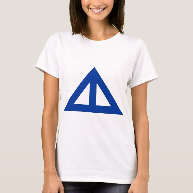 Camiseta Seta Triangular Dividida (Frente)