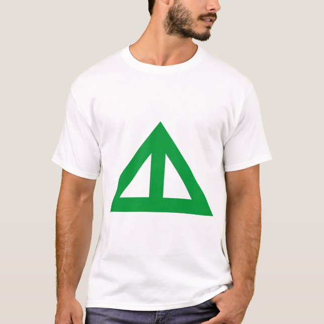 Camiseta Seta Triangular Dividida (Frente)