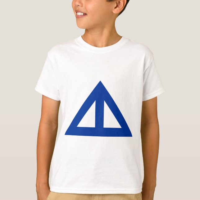 Camiseta Seta Triangular Dividida (Frente)