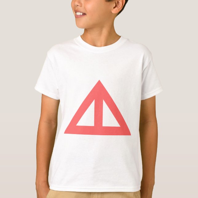 Camiseta Seta Triangular Dividida (Frente)