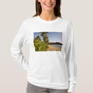 Camiseta Seychelles, Ilha de Mahe, praia de Anse Takamaka,