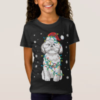 Shih Tzu Embalado Em Cão De Luz De Natal