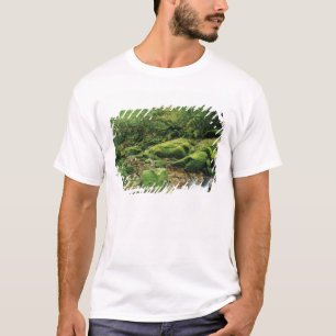 Camiseta Shiratani Unsuikyo, Yakushima, Kagoshima, Japão