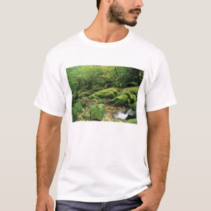 Camiseta Shiratani Unsuikyo, Yakushima, Kagoshima, Japão