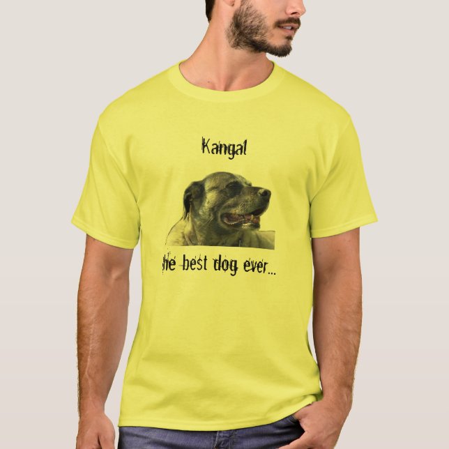 Camiseta shirt com kangal (Frente)