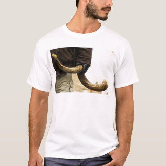 Camiseta Shofar
