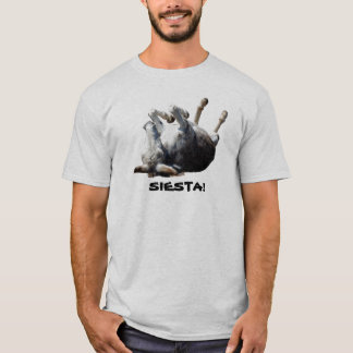 Camiseta Siesta