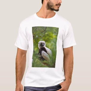 Camiseta Sifaka de Coquerel na floresta 2