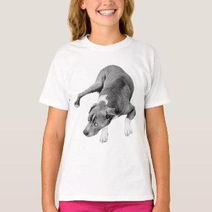 Camiseta Silêncio Real