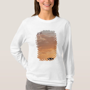 Camiseta Silhueta de árvore na planície, Masai Mara