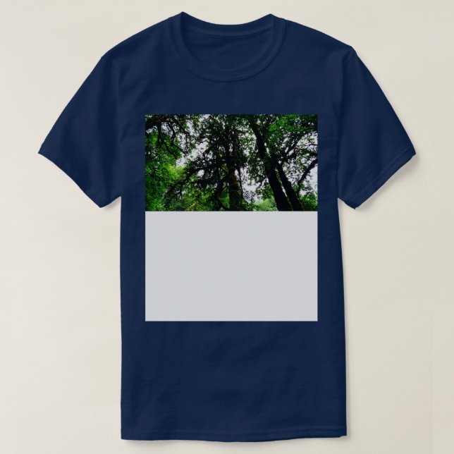 Camiseta Silver Falls State Park, Oregon (Frente do Design)