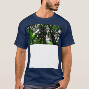 Camiseta Silver Falls State Park, Oregon