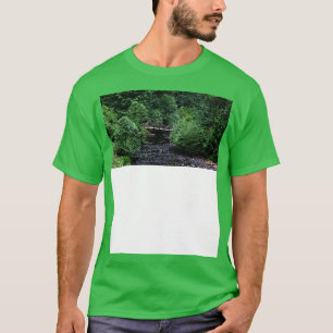 Camiseta Silver Falls State Park Oregon 1