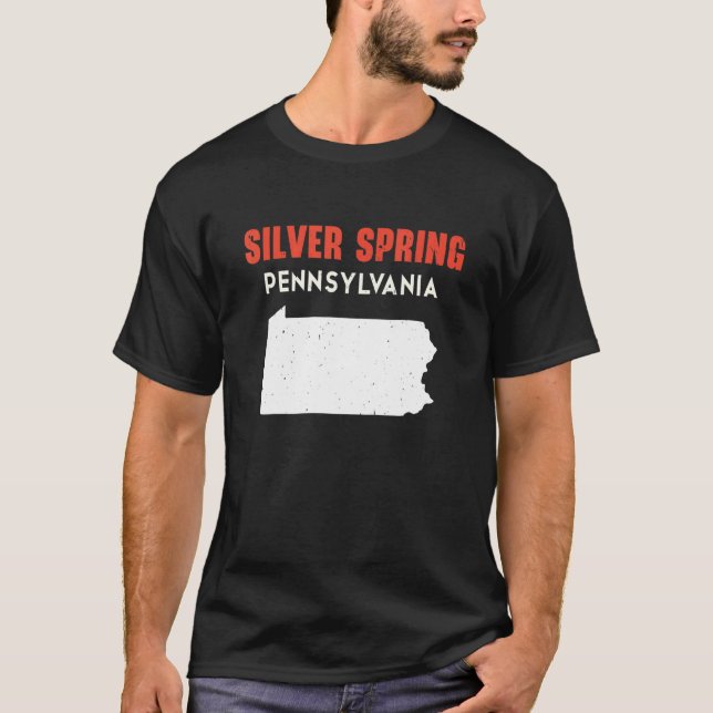 Camiseta Silver Primavera Pennsylvania State America Trave (Frente)