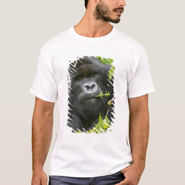Camiseta Silverback Mountain Gorilla (Frente)