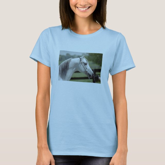 Camiseta Silverstone Shamal (Frente)