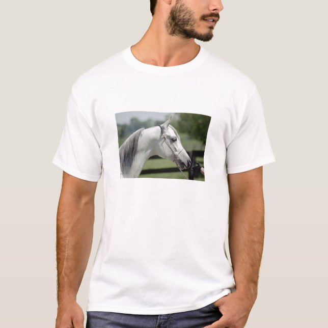 Camiseta Silverstone Shamal (Frente)