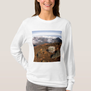 Camiseta Silversword no cume da cratera Haleakala a partir 