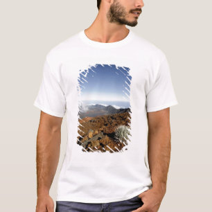 Camiseta Silversword no cume da cratera Haleakala de perto
